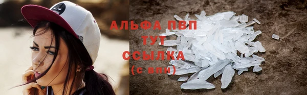 гашик Лабытнанги