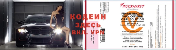 гашик Лабытнанги
