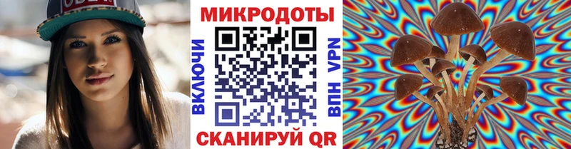 Купить  Таганрог  Псилоцибиновые грибы MAGIC MUSHROOMS 